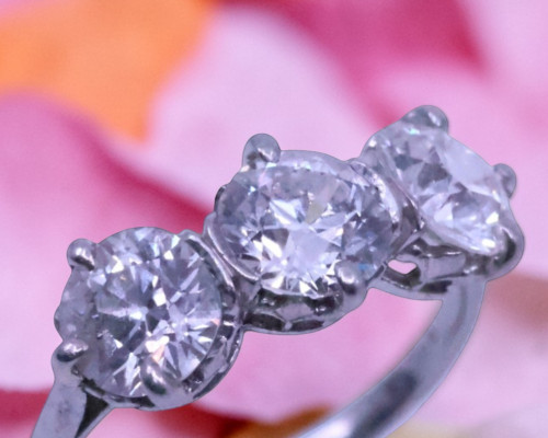 Catalogue now online